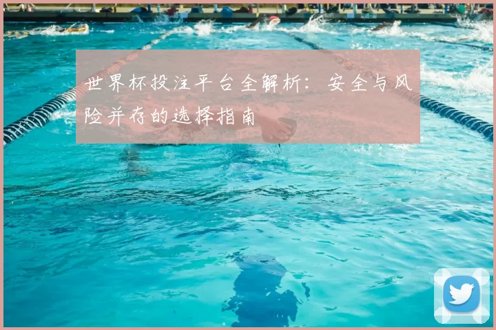 世界杯投注平台全解析:安全与风险并存的选择指南