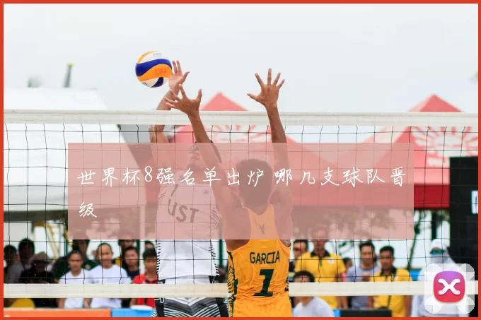 世界杯8强名单出炉 哪几支球队晋级