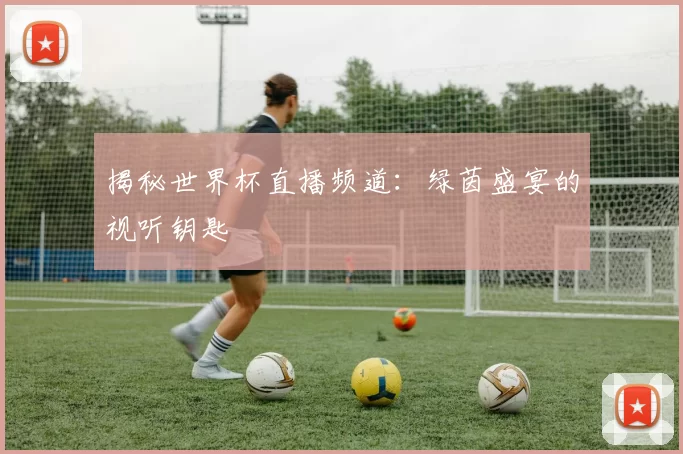 揭秘世界杯直播频道:绿茵盛宴的视听钥匙