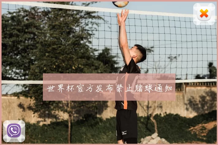 世界杯官方发布禁止赌球通知