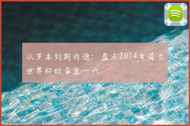 从罗本到斯内德：盘点2014年荷兰世界杯的黄金一代