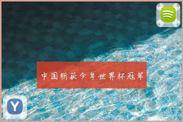 中国斩获今年世界杯冠军