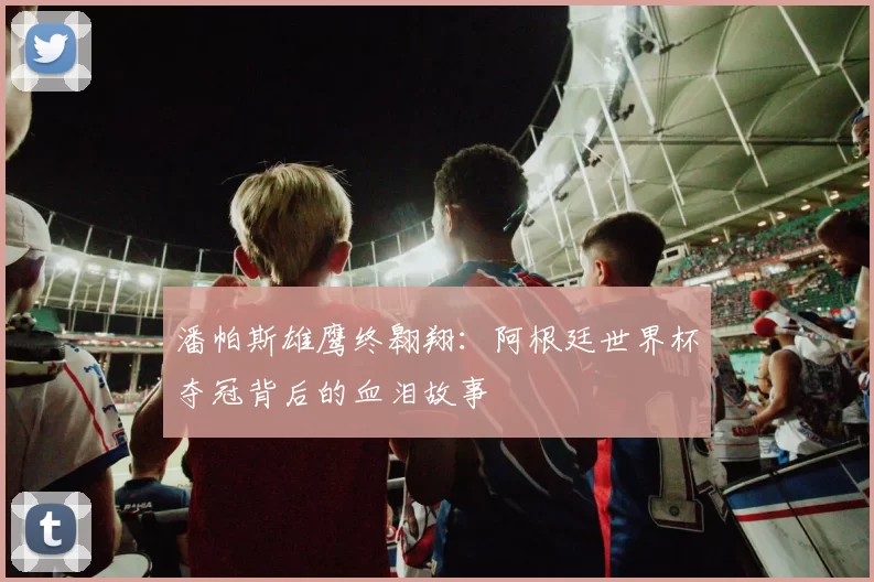 潘帕斯雄鹰终翱翔：阿根廷世界杯夺冠背后的血泪故事