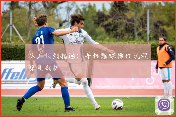 从入门到精通：手机赌球操作流程深度剖析