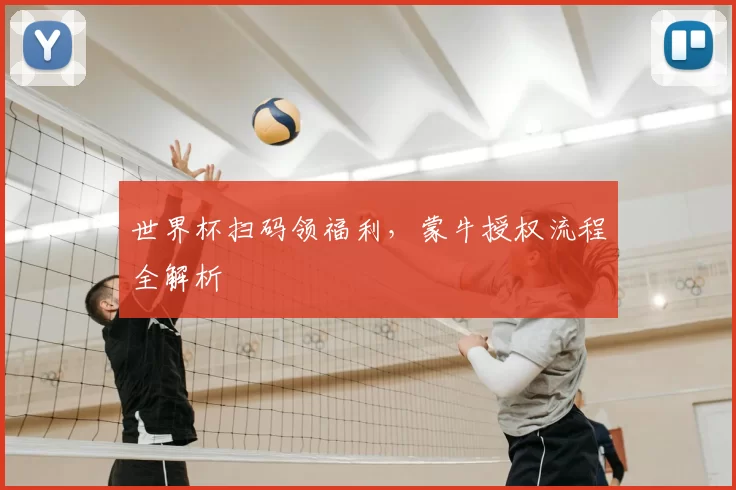 世界杯扫码领福利，蒙牛授权流程全解析