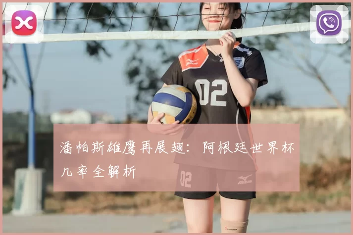 潘帕斯雄鹰再展翅:阿根廷世界杯几率全解析