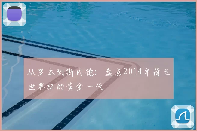 从罗本到斯内德:盘点2014年荷兰世界杯的黄金一代