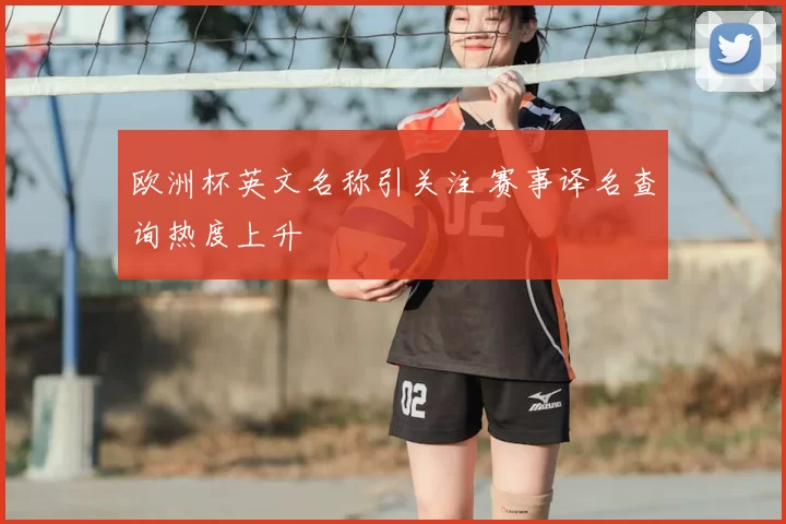欧洲杯英文名称引关注 赛事译名查询热度上升