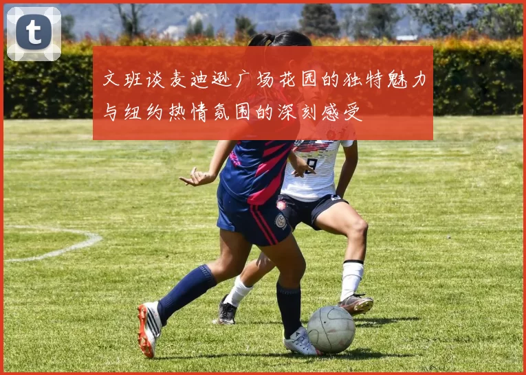 文班谈麦迪逊广场花园的独特魅力与纽约热情氛围的深刻感受