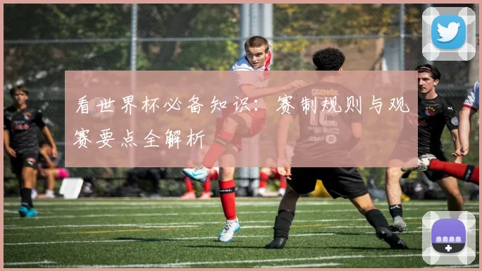 看世界杯必备知识：赛制规则与观赛要点全解析