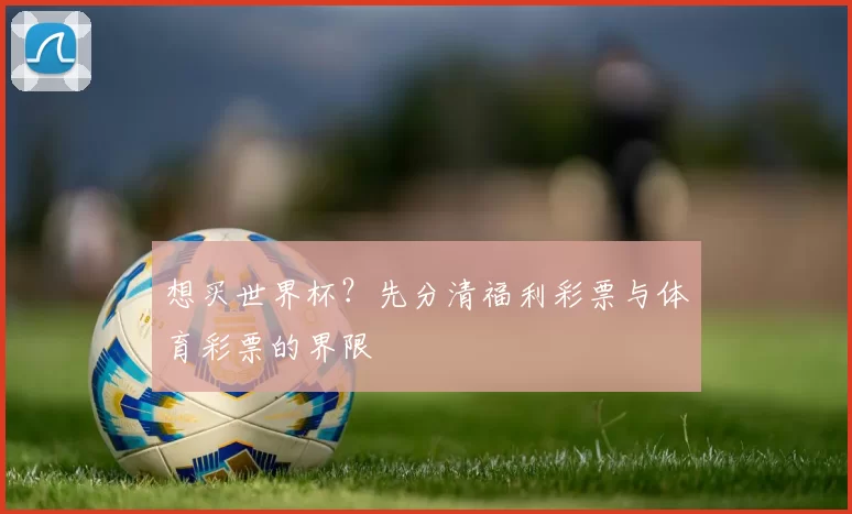 想买世界杯？先分清福利彩票与体育彩票的界限