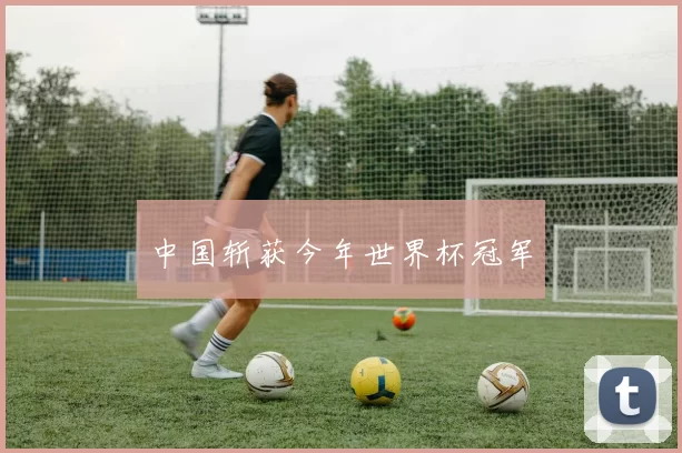 中国斩获今年世界杯冠军