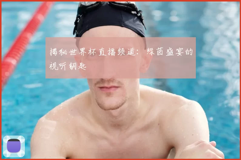 揭秘世界杯直播频道:绿茵盛宴的视听钥匙