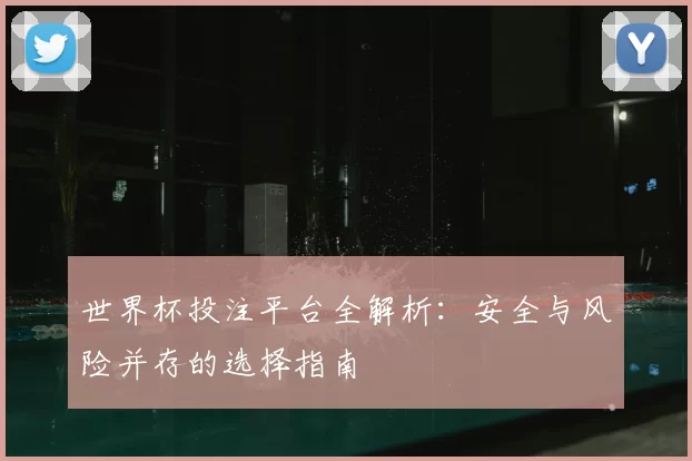 世界杯投注平台全解析:安全与风险并存的选择指南