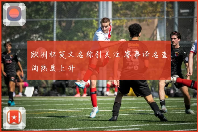 欧洲杯英文名称引关注 赛事译名查询热度上升