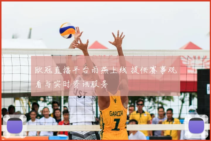 欧冠直播平台雨燕上线 提供赛事观看与实时资讯服务