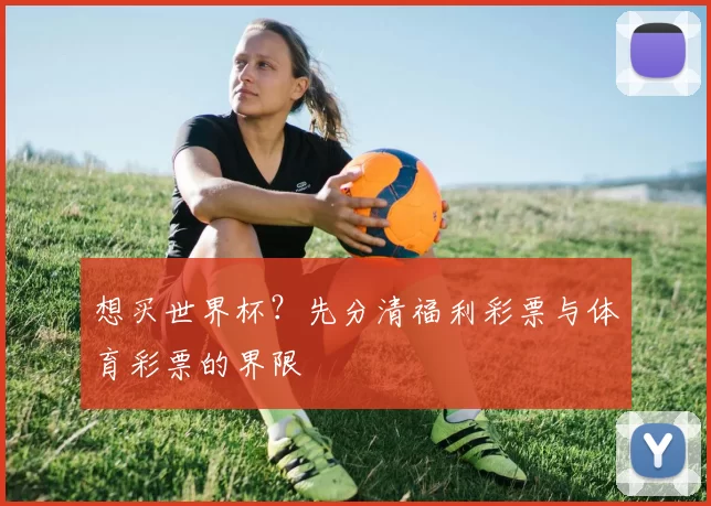 想买世界杯?先分清福利彩票与体育彩票的界限